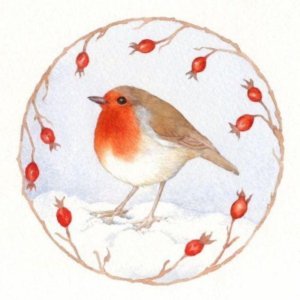 Robin Bird | Diamond Painting