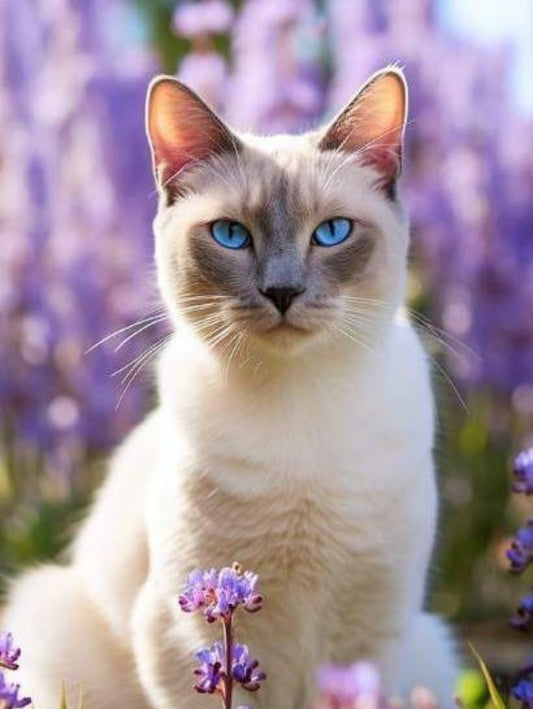 Siamese Cat | Diamond Painting