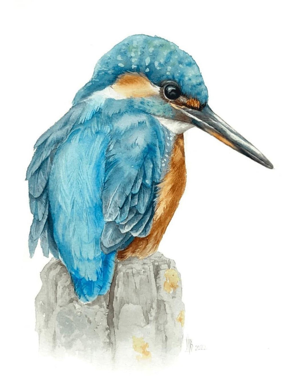 Kingfisher | Diamond Painting