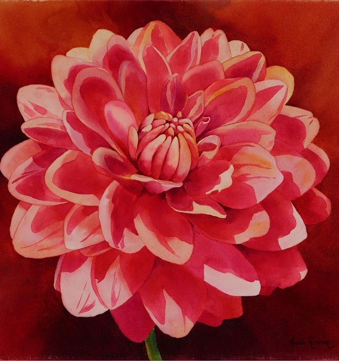 Dahlia | Diamond Painting