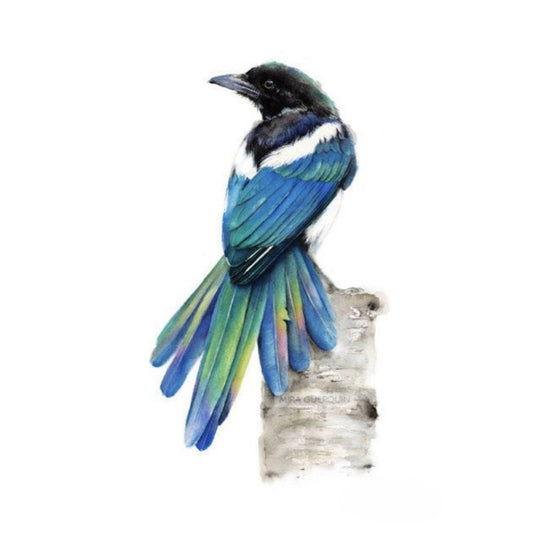 Magpie | Diamond Painting