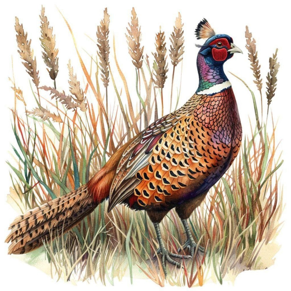 Pheasant | Diamond Painting