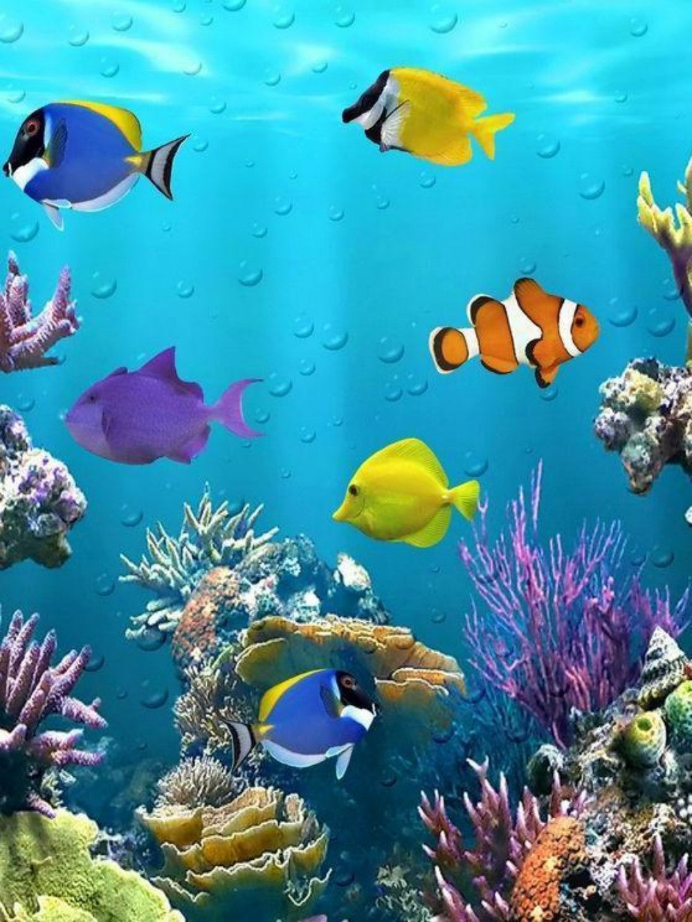 Ocean Fish | Diamond Painting