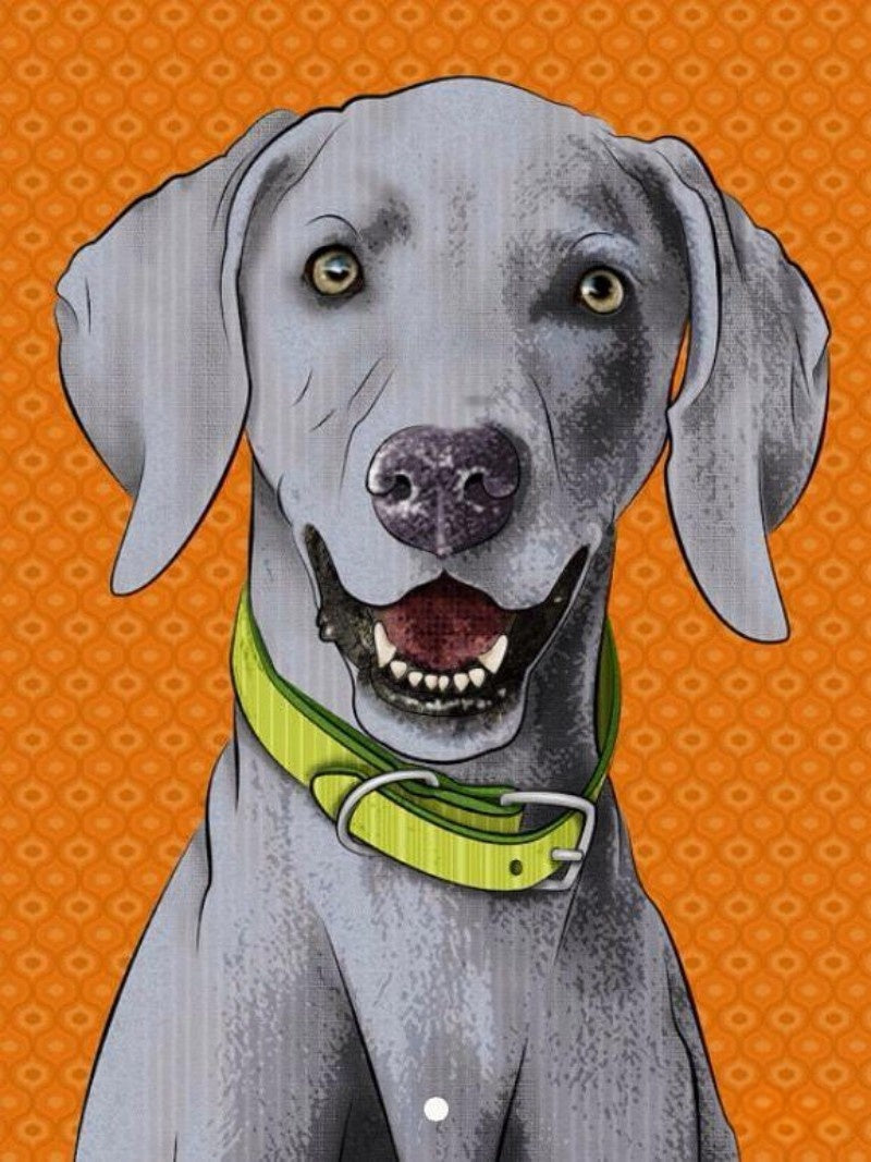 Weimaraner Dog | Diamond Painting