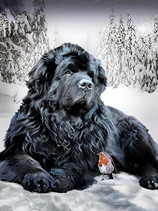 Newfoundland Dog | Diamond Painting