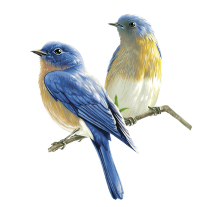 Blue Bird | Diamond Painting