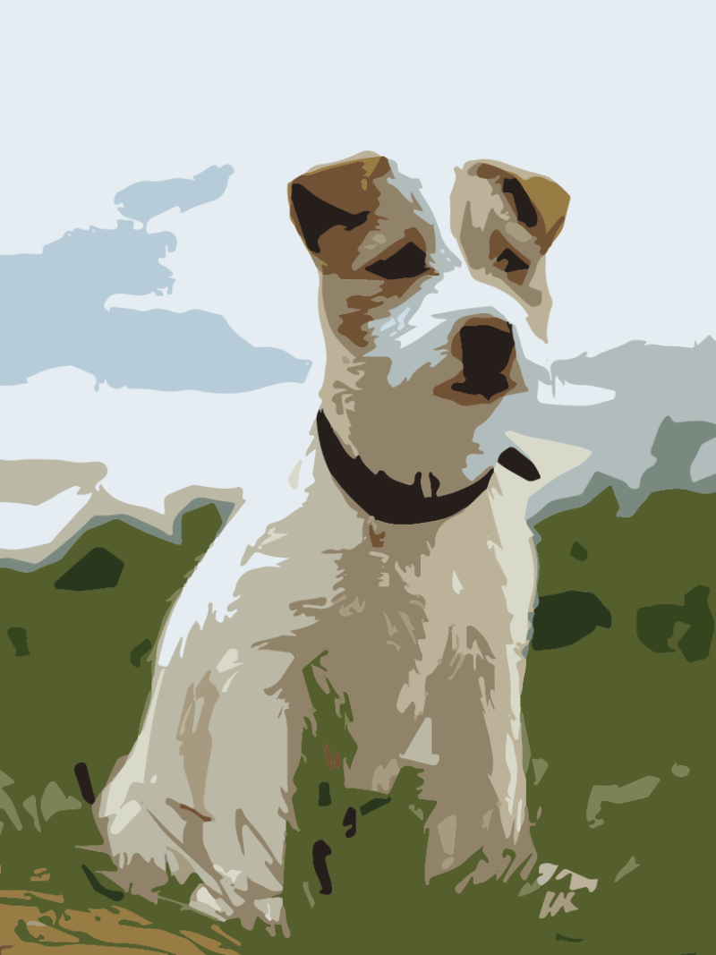 Dog Jack Russell | Diamond Painting