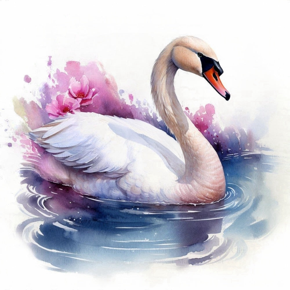 Swan | Diamond Painting