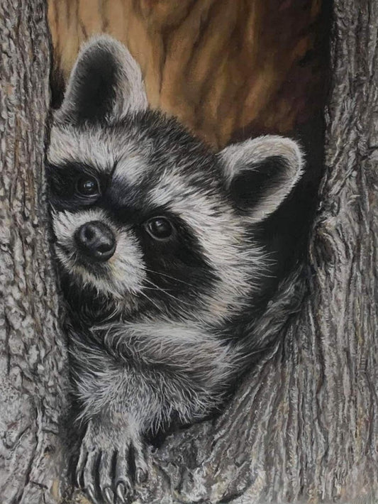 Raccoon | Diamond Painting