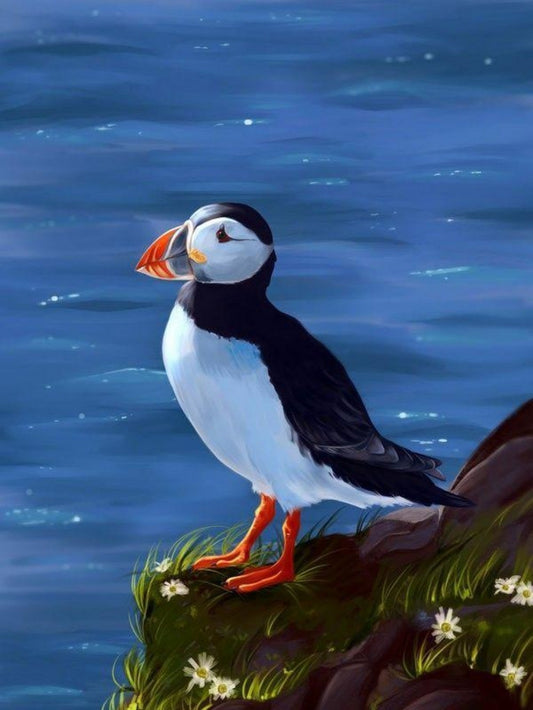 Puffin | Diamond Painting