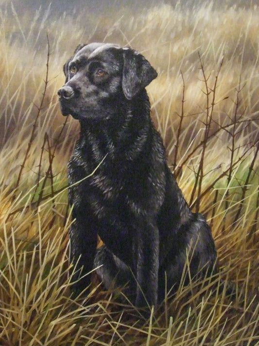 Black Labrador Dog | Diamond Painting