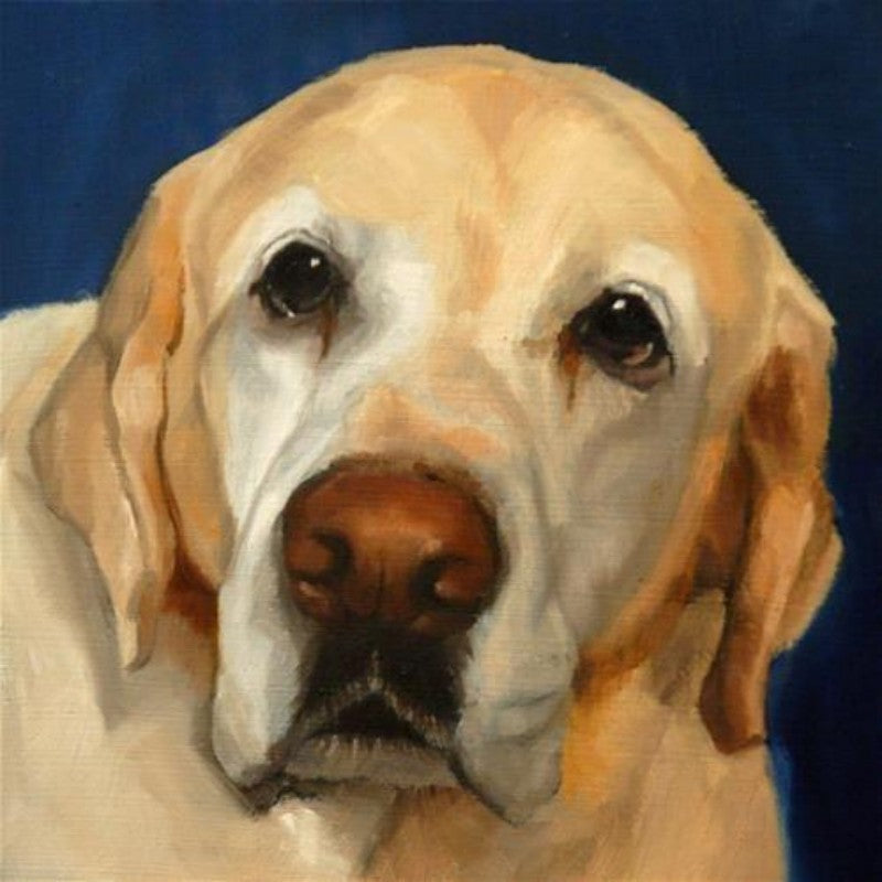 Yellow Labrador Dog | Diamond Painting
