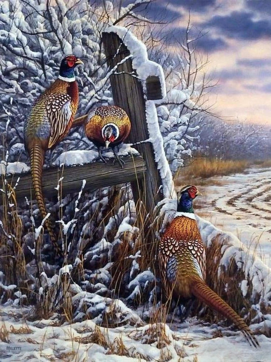 Pheasant | Diamond Painting