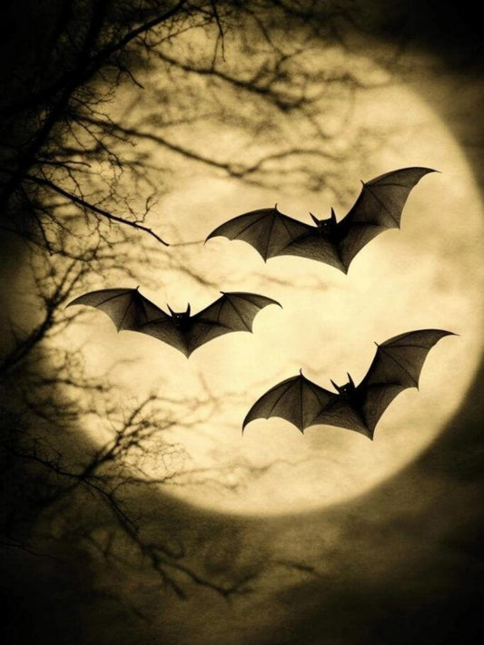 Bat | Diamond Painting