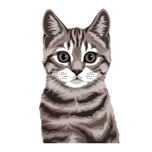 Tabby Cat | Diamond Painting