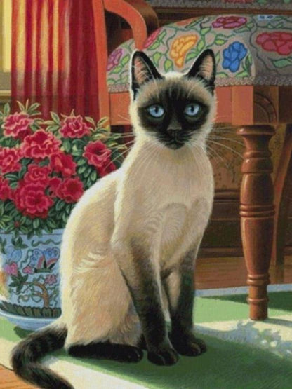 Siamese Cat | Diamond Painting