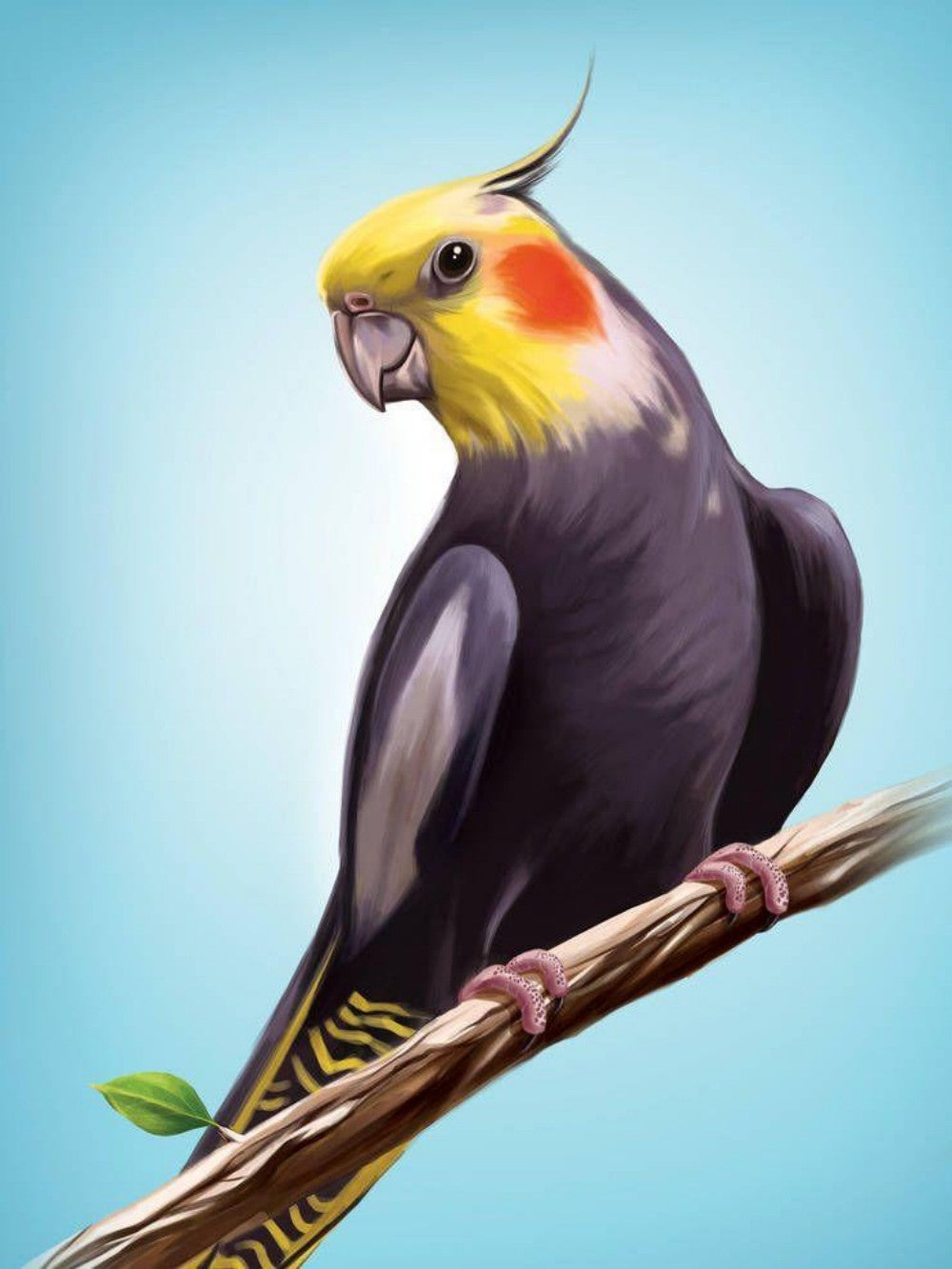 Cockatiel Parrot | Diamond Painting