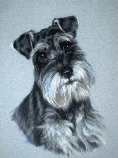 Dog Schnauzer | Diamond Painting