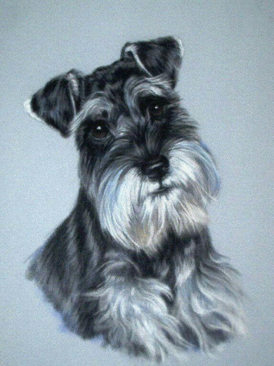 Dog Schnauzer | Diamond Painting