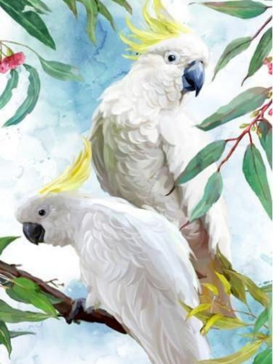 Cockatoo | Diamond Painting