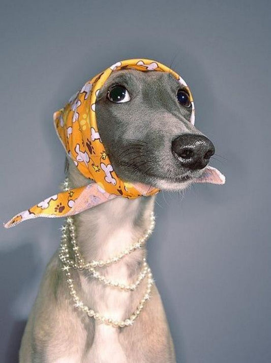 Whippet Dog | Diamond Painting