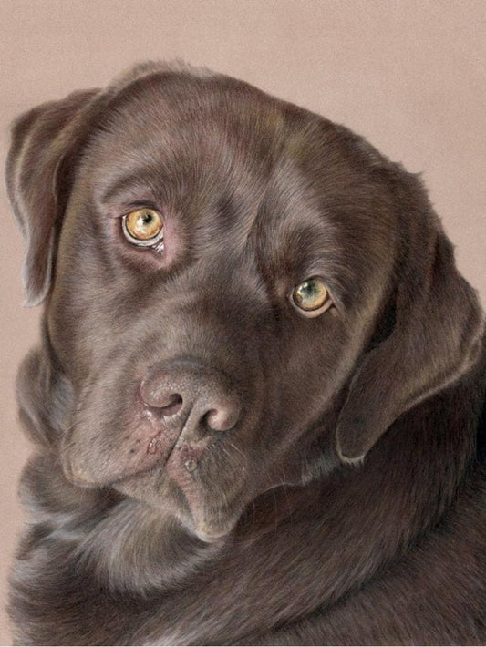Chocolate Labrador Dog | Diamond Painting