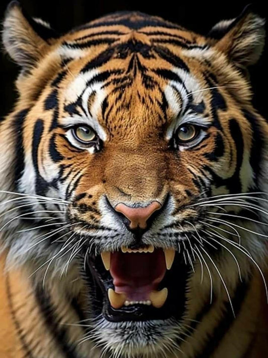 Bengal Tiger | Diamond Painting