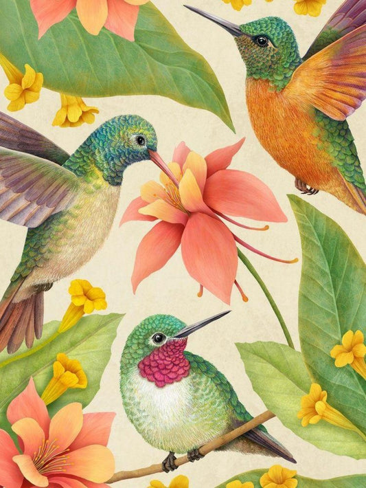 Hummingbird | Diamond Painting