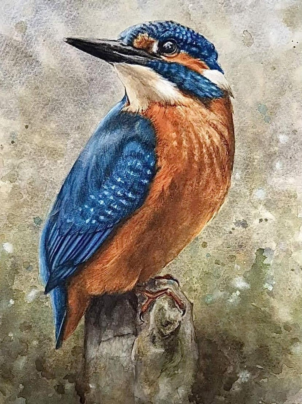 Kingfisher | Diamond Painting