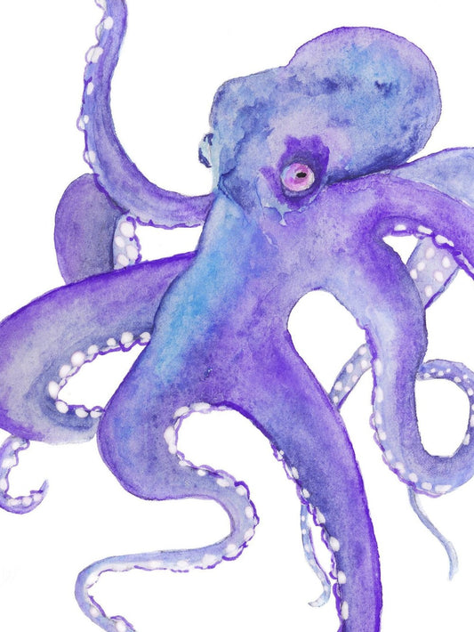 Octopus | Diamond Painting