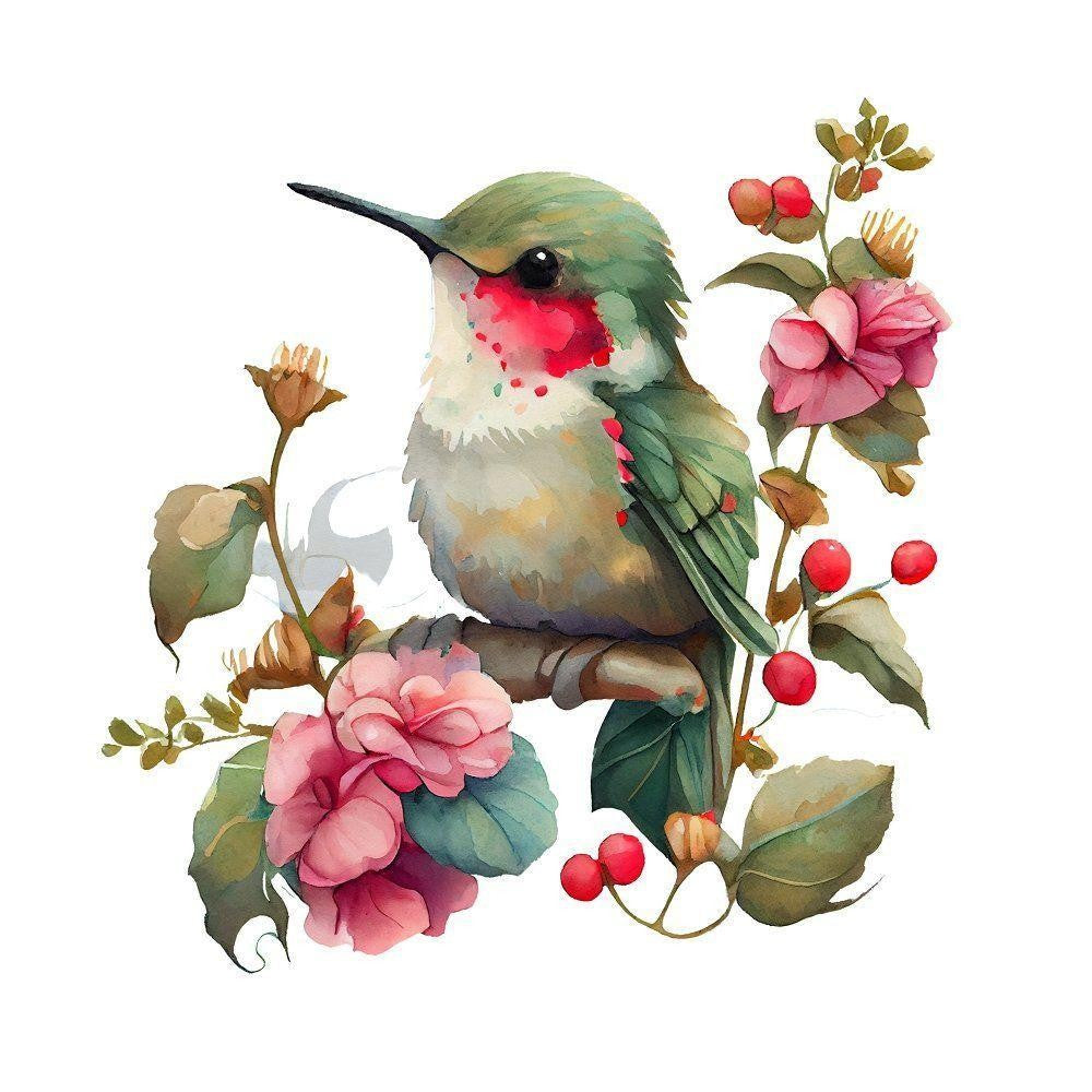 Hummingbird | Diamond Painting