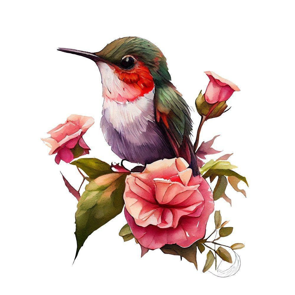 Hummingbird | Diamond Painting