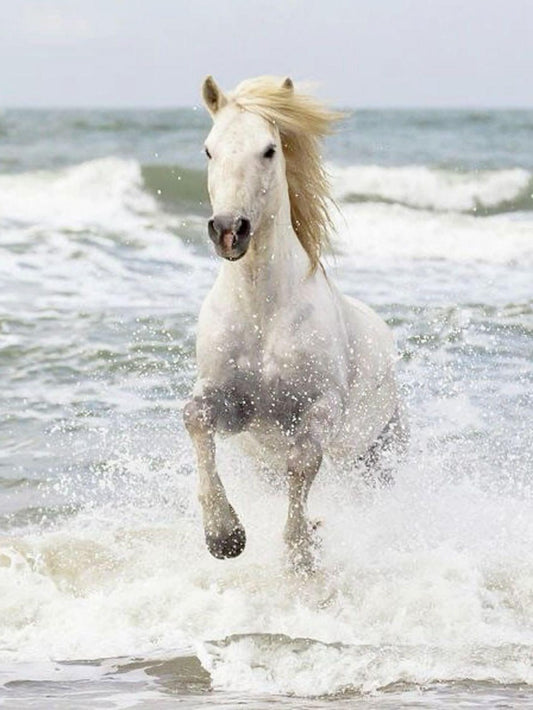 Horse | Diamond Painting