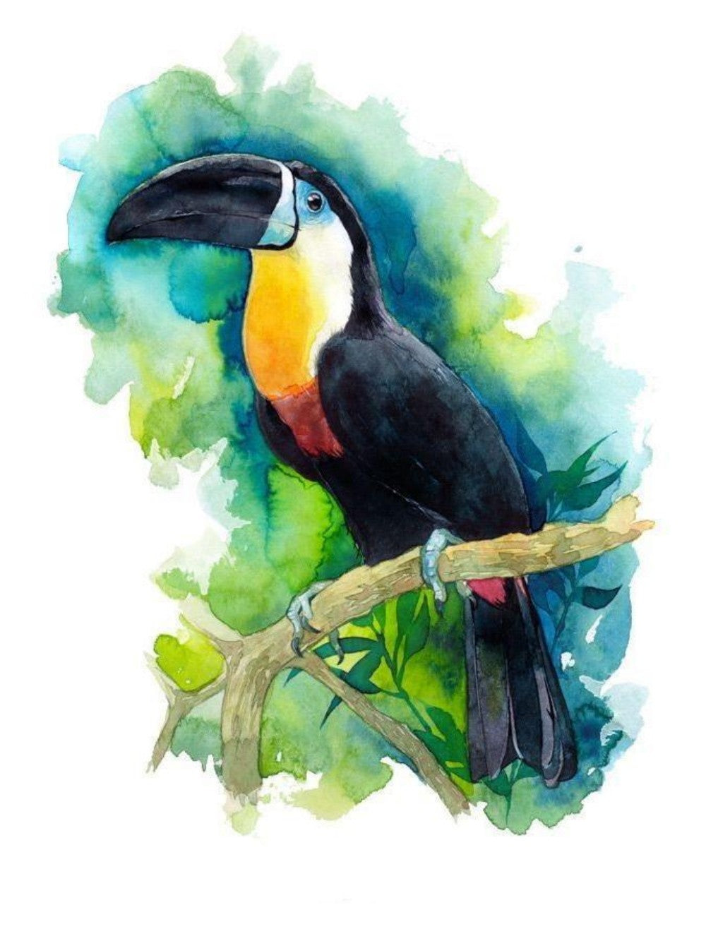 Toucan Bird | Diamond Painting