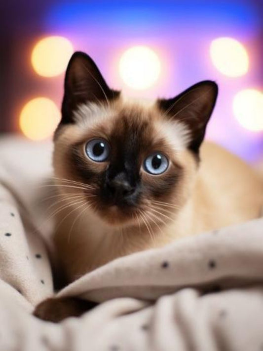 Siamese Cat | Diamond Painting