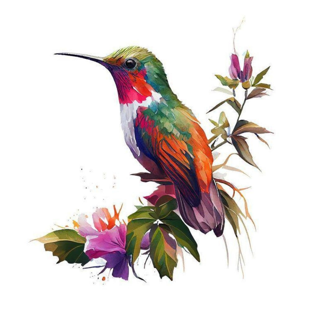 Hummingbird | Diamond Painting