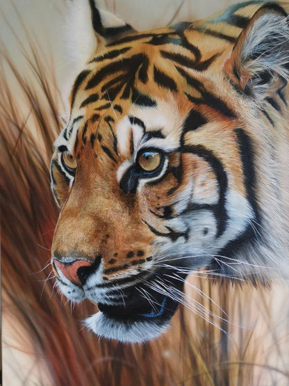 Bengal Tiger | Diamond Painting