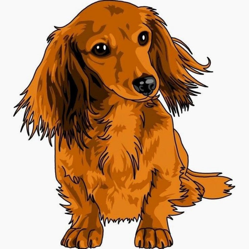 Dachshund Dog | Diamond Painting