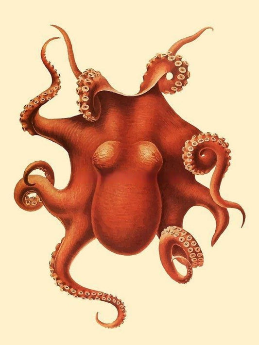 Octopus | Diamond Painting