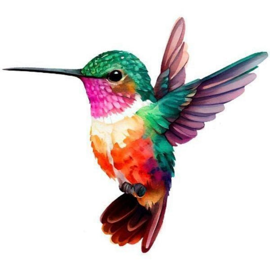 Hummingbird | Diamond Painting