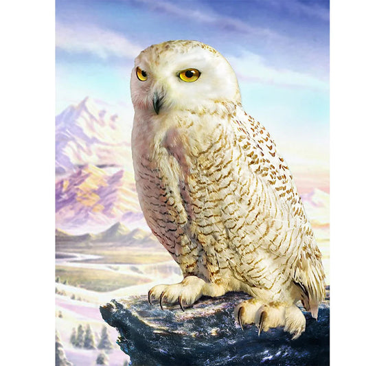 Owl | Diamond Painting