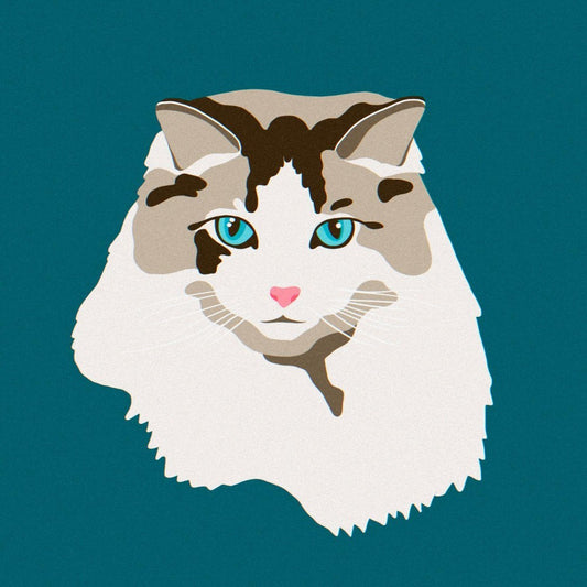 Ragdoll Cat | Diamond Painting