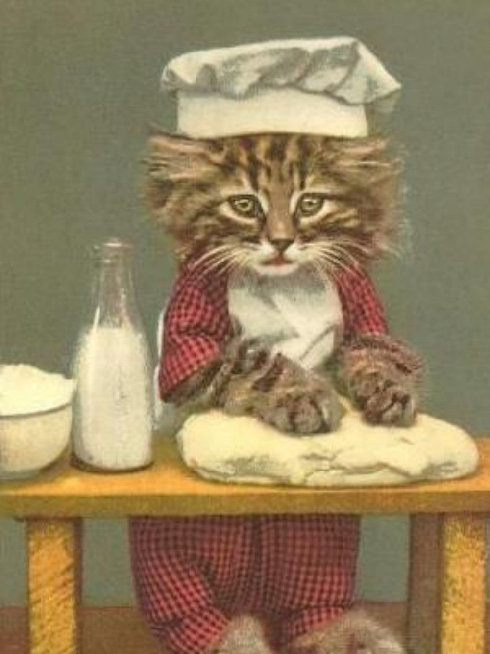 Cats in the Kitchen | Diamond Painting