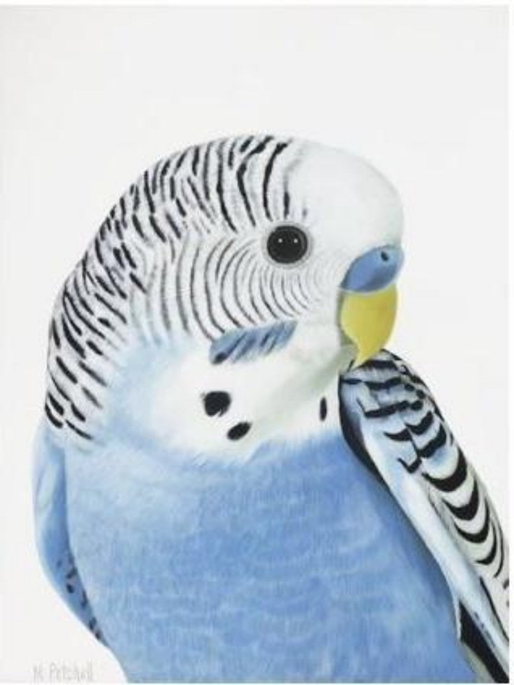 Budgie | Diamond Painting