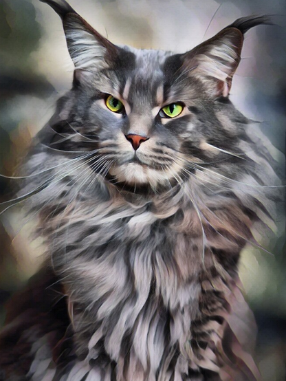 Maine Coon | Diamond Painting