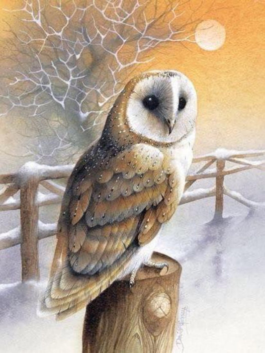 Barn Owl | Diamond Painting