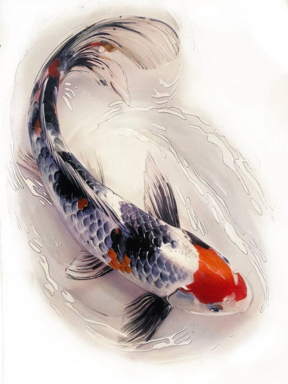 Koi Fish | Diamond Painting