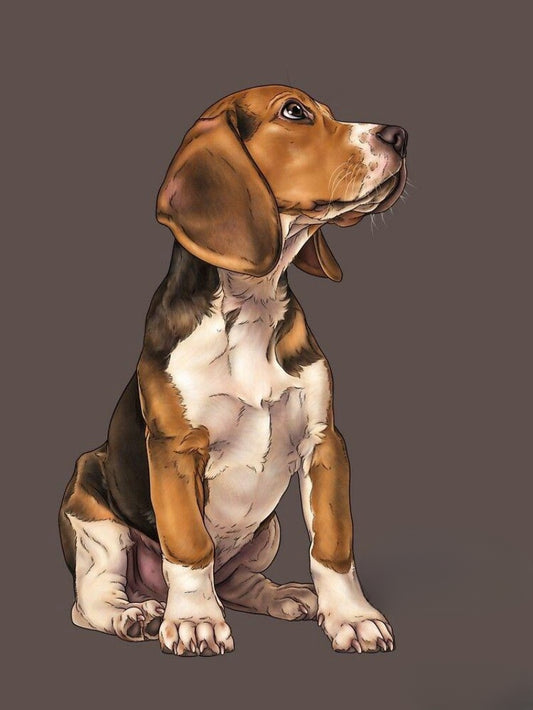 Dog Beagle | Diamond Painting