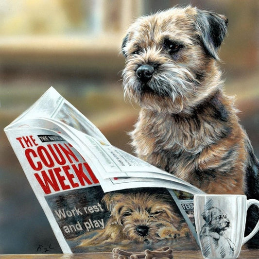 Dog Border Terrier | Diamond Painting