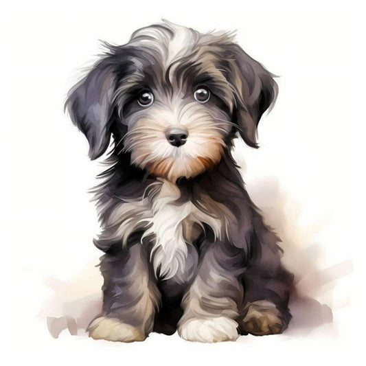 Havanese Dog | Diamond Painting